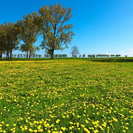 Residenz Am Yachthafen Moewenblick