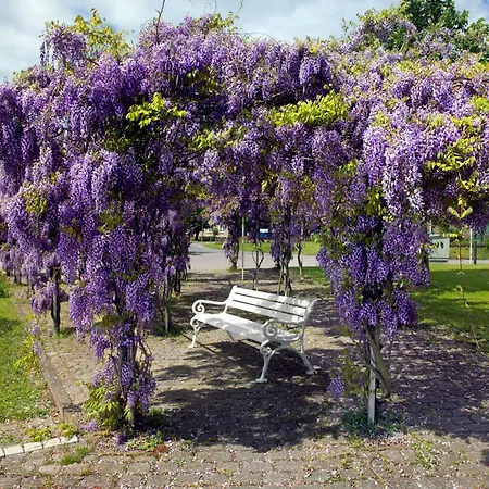 Residenz Am Yachthafen Moewenblick Appartement